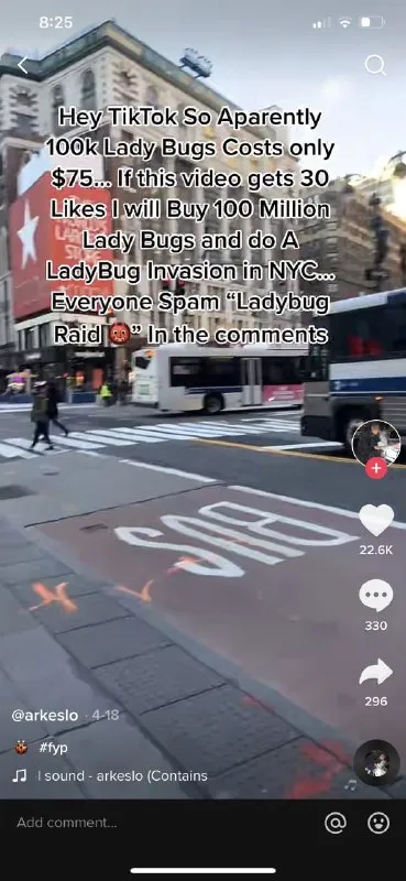 Ladybug Invasion in NYC