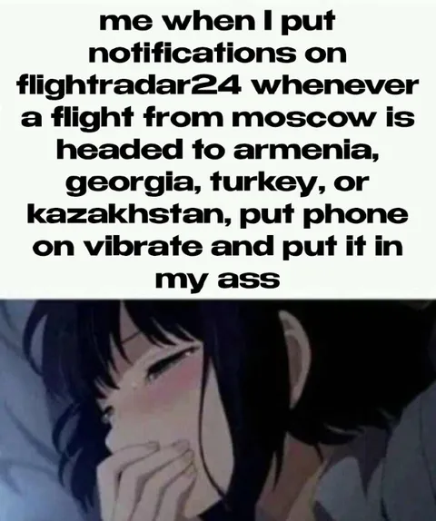 Flightradar24 flight notification vibration