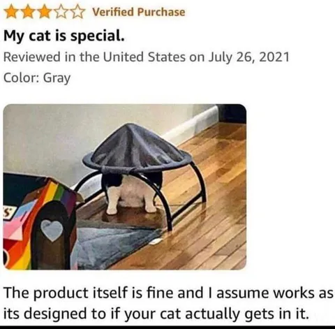 Cat Bed Product Review Fail