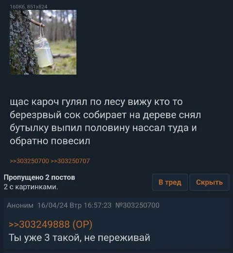 Берёзовый сок с сюрпризом