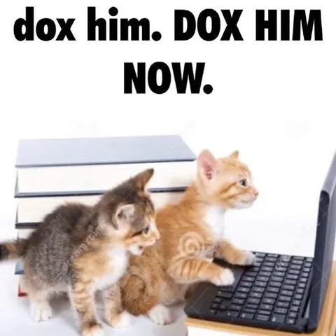 Dox Him Now Kittens