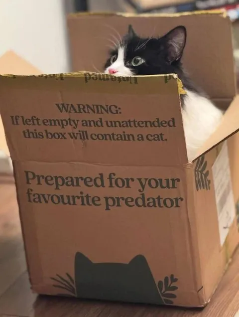 Prepared for Your Favourite Predator