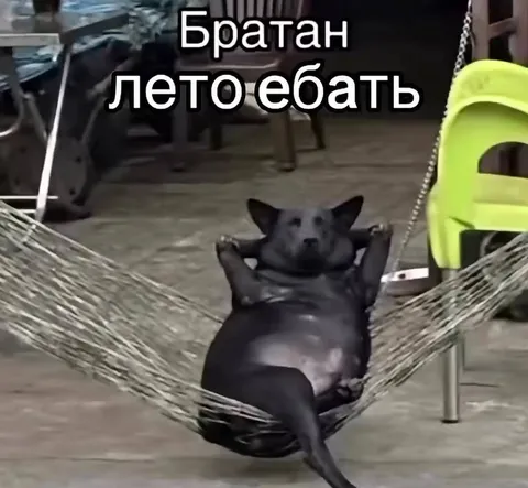 Братан, лето ебать
