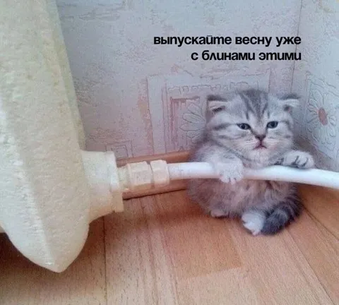 Выпускайте весну с блинами