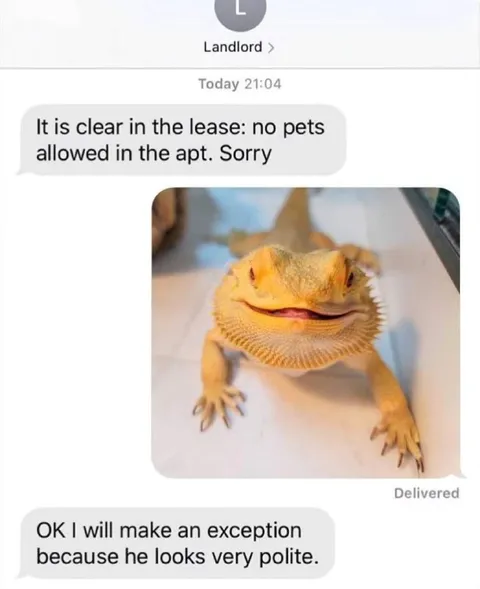 Polite Bearded Dragon Exception