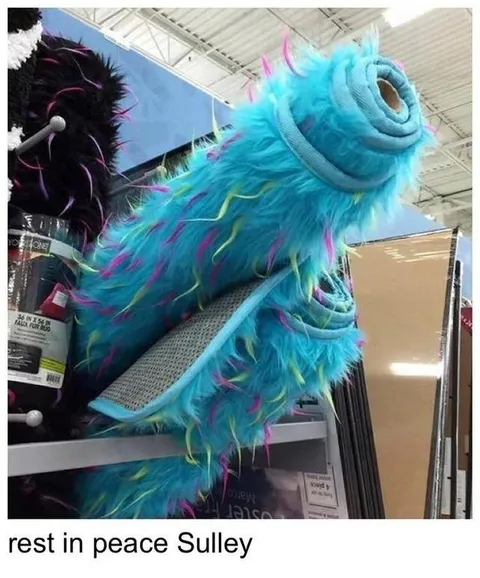 Rest in Peace Sulley