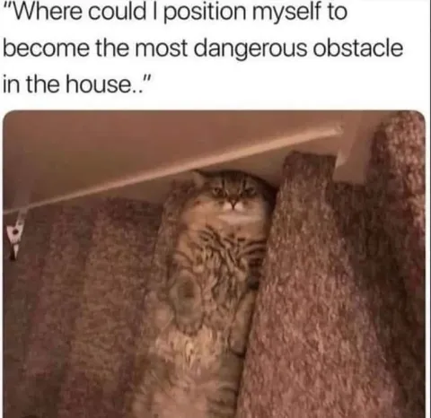 Most Dangerous Obstacle in the House