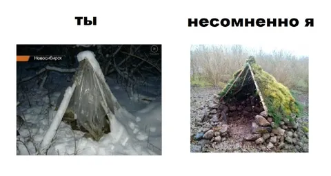 Ты и несомненно я