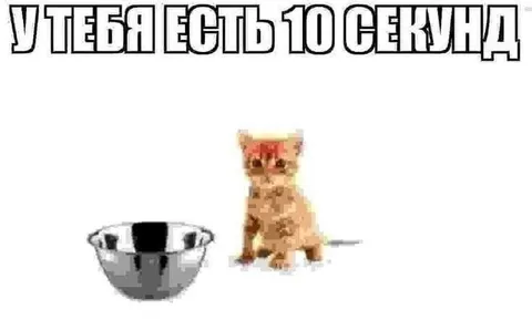 У тебя есть 10 секунд
