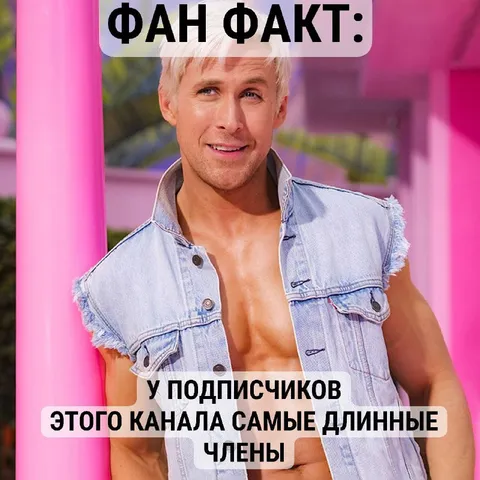 Фан факт про подписчиков