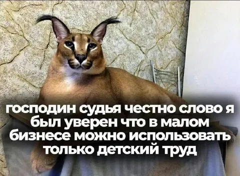Судья и детский труд