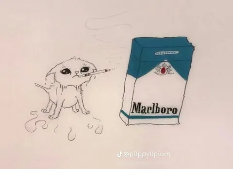 Smoking Cat With Marlboro