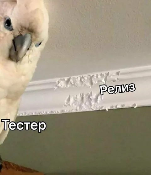 Тестер грызёт релиз