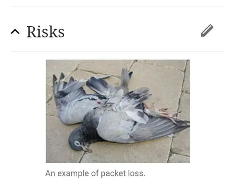 An Example of Packet Loss