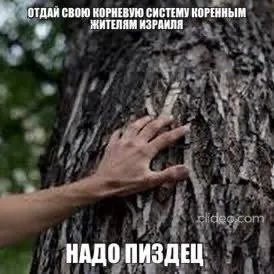 Коренная система коренным жителям