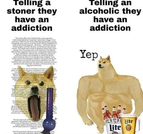 Stoner and Alcoholic Addiction