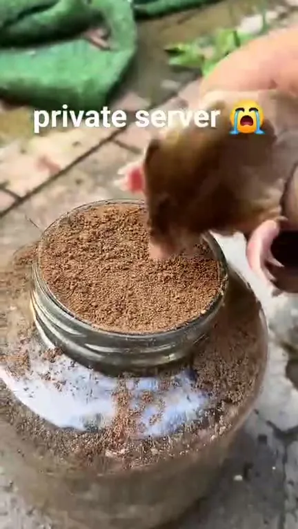 Private Server Gets Buried