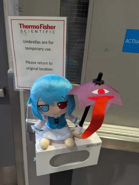 Umbrellas Are for Temporary Use
