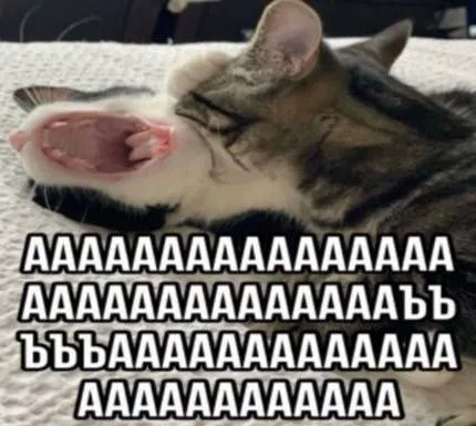 Кот орёт ААААААА