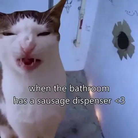 Cat Discovers a Sausage Dispenser