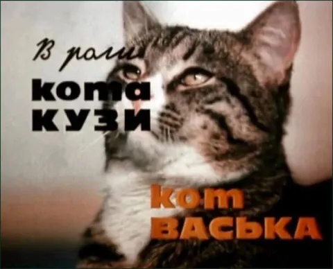 Кот Васька в поле
