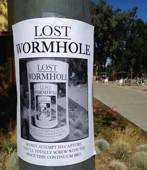 Lost Wormhole Flyer