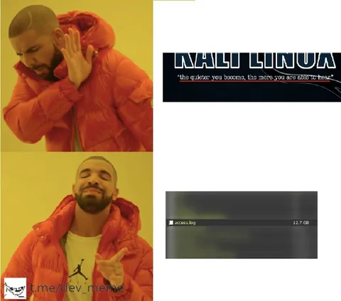 Drake Prefers Quiet Kali Linux