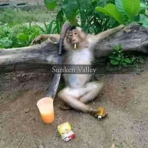 Sunken Valley Monkey