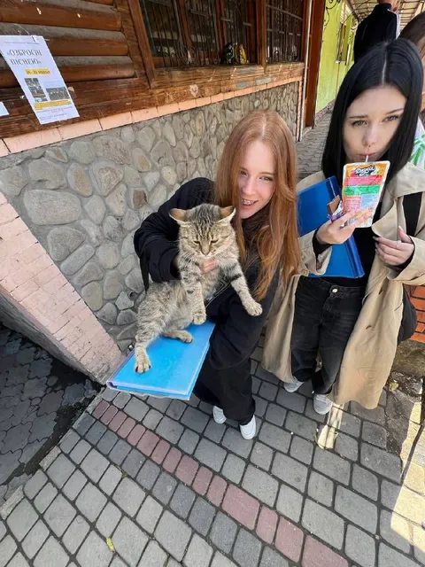 Девушки с котом и пюре