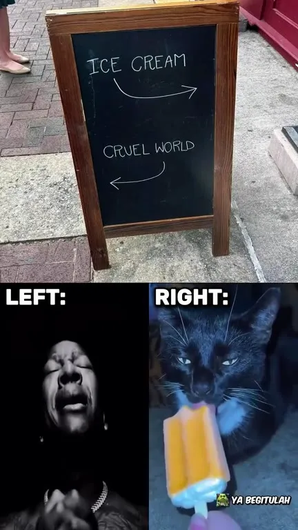 Ice Cream Versus Cruel World