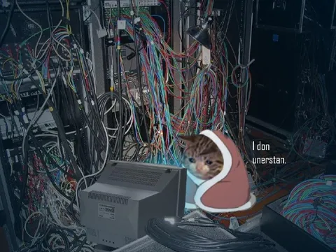 I Don’t Understand Cat