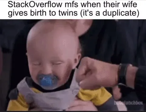 Stack Overflow Twins Duplicate
