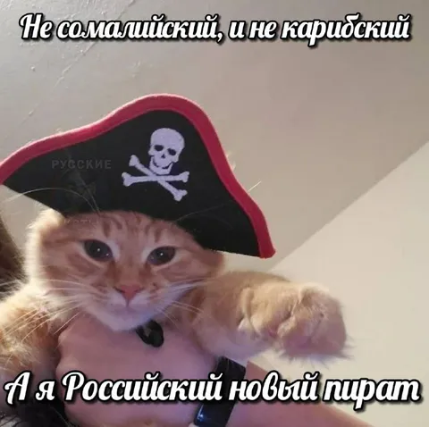 Российский новый пират