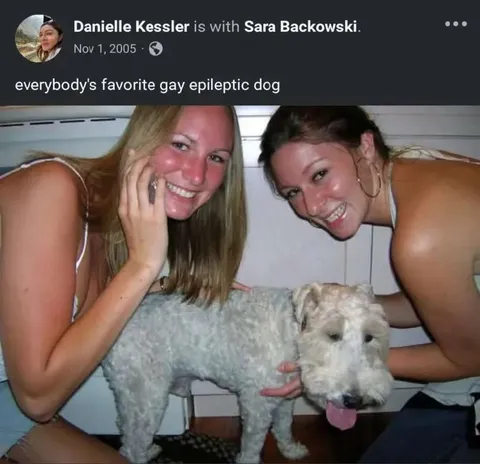 Everybody's Favorite Gay Epileptic Dog