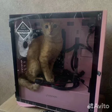 Кот внутри компьютера