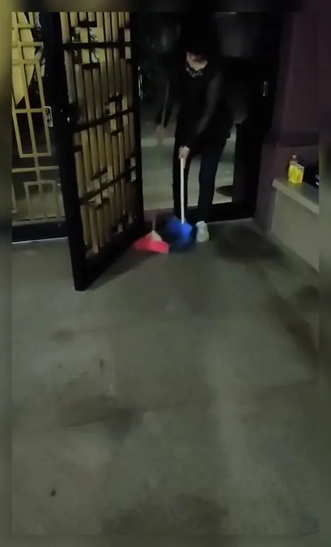Женщина подметает котят
