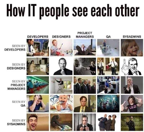How IT People See Each Other