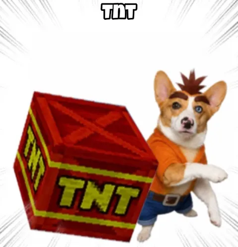Corgi Holding a TNT Crate