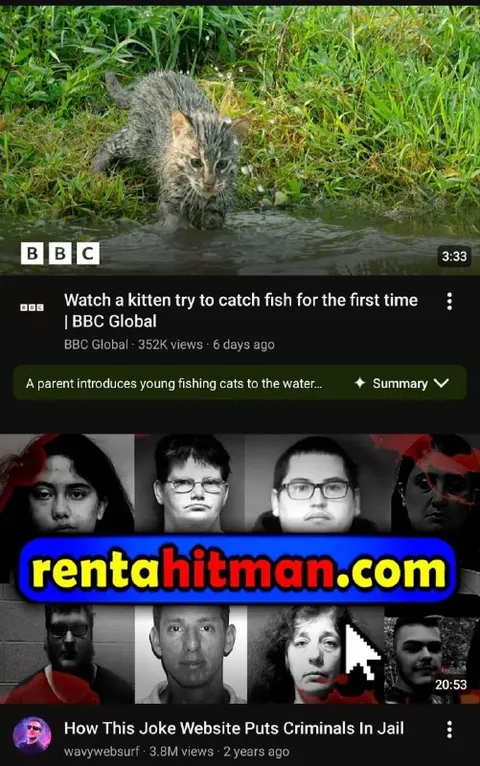 Kitten Fishing Meets Rent-A-Hitman