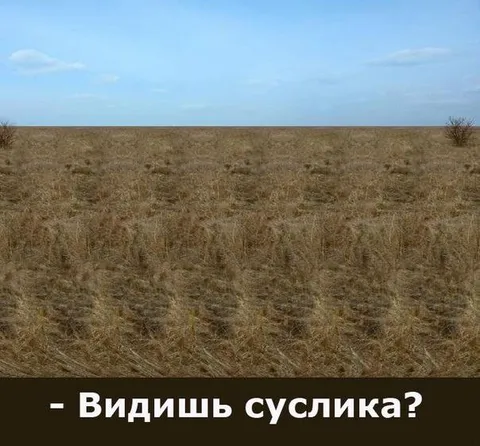 Видишь суслика?