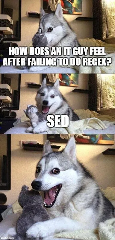 IT Guy Fails at Regex