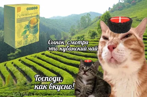 Кубанский чай и папаха