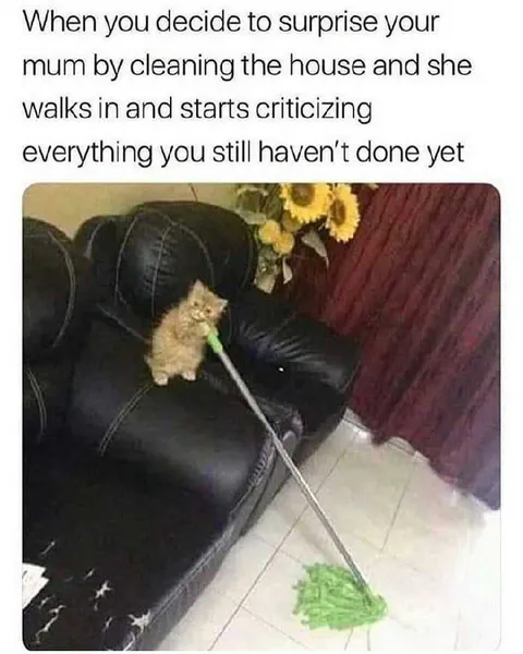 Mum Criticizes Your Cleaning