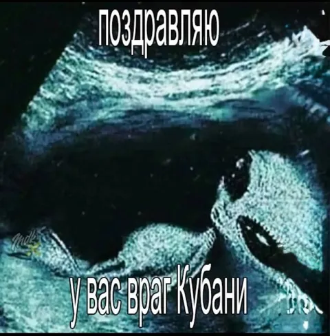 У вас враг Кубани