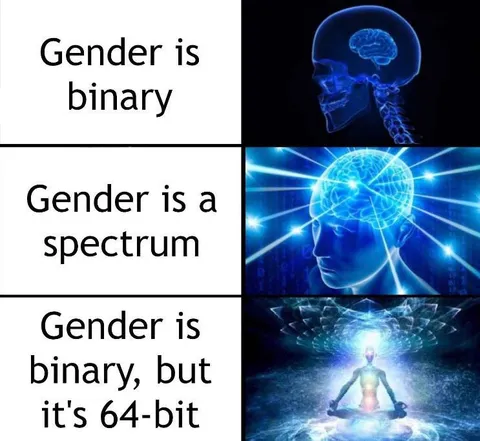 Gender Is 64-Bit