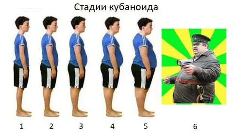 Стадии кубаноида