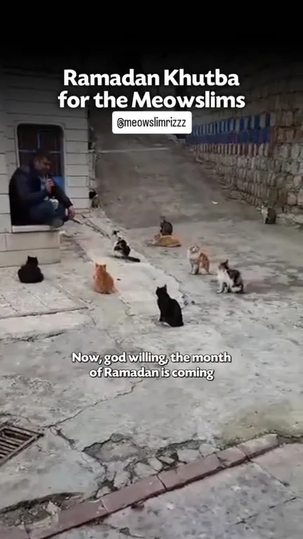 Ramadan Khutba for Cats