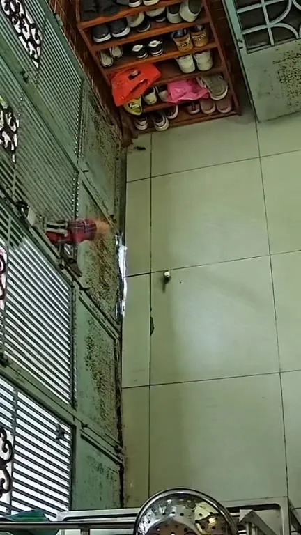 Девочка спасает кота у ворот