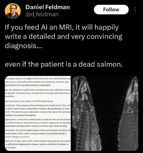 AI Diagnoses a Dead Salmon