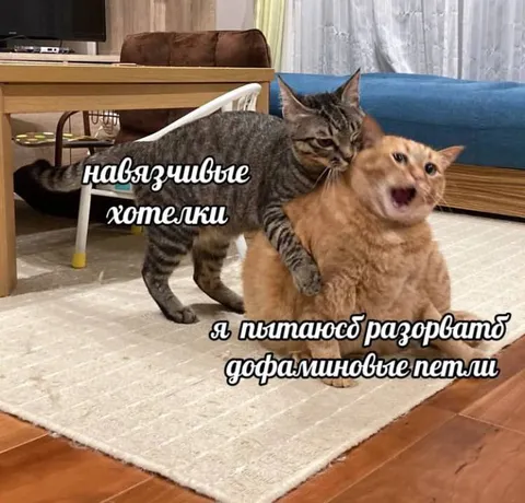 Навязчивые хотелки и дофаминовые петли